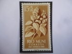 Stamps Spain -  Ed:ES-RM 11 -  Planta de Crotón - Río Muni, Español - Región Continental de Guinea Ec. - Pro-Infanci