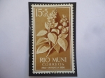 Sellos de Europa - Espaa -  Ed:ES-RM 11 -  Planta de Crotón - Río Muni, Español - Región Continental de Guinea Ec. - Pro-Infanci