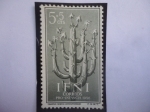 Stamps Spain -  Ed:ES-IF 128- IFNI Español- Cenecio Antheuphorbium-Territorrio en Marruecos - Pro-Infancia 1956