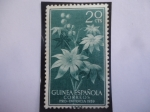 Stamps Spain -  Ed:ES-GN 393 -Guinea Española - Sello: Pro Infancia 1959