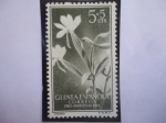 Stamps Spain -  Ed:ES-GN 358 -Flores Angraecum Distichun - Guinea Español - Sello:Pro-Indigena 1956