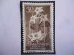 Stamps Spain -  Ed:ES-GN 361- Guinea Española - Flores: Strohanlus Kombe - Sello Pro-Indígenas 1956