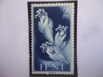 Stamps Slovenia -  Ed:ES-IF 111 - IFNI Español- Traganum Sp-Territorrio en Marruecos - Pro-Infancia 1956