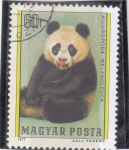 Stamps Hungary -  oso panda
