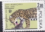 Stamps Poland -  Jaguar- zoo de Varsovia