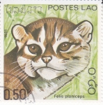 Stamps Laos -  gato