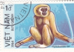 Sellos de Asia - Vietnam -  primate