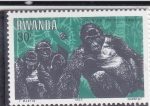 Sellos de Africa - Rwanda -  Gorilas de montaña