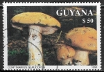 Sellos de America - Guyana -  Setas - Cortinarius Glaucopus