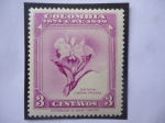 Stamps Colombia -  U.P.U. - 75°Aniversario de la Unión Postal Universal (1874-1949) - Cattleya  Labiata Trianae.