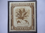 Sellos de America - Colombia -  U.P.U. - 75°Aniversario de la Unión Postal Universal (1874-1949) - Masdevallia CHimaera.