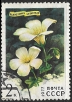 Stamps Russia -  Flores - Kamheromka