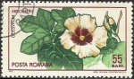 Sellos de Europa - Rumania -  Flores - Gossypium  Arboreum