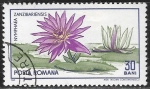 Sellos del Mundo : Europa : Rumania : Flores - Nymphaea capensis