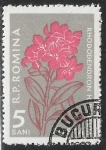 Stamps : Europe : Romania :  Flores - Rhododendron hirsutum