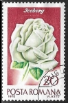 Stamps Romania -  Flores -Icebery