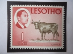 Stamps : Africa : Lesotho :  King Moshoeshoe II de Lesotho (1938/96)-Reino de Lesoto-Sudáfrica, protectorado Británico (1868-1966