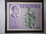 Sellos del Mundo : Africa : Lesotho : King Moshoeshoe II de Lesotho (1938/96)-Reino de Lesoto-Sudáfrica, protectorado Británico (1868-1966