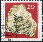 Stamps Germany -  Fosil