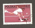 Stamps Poland -  INTERCAMBIO