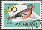 Stamps Hungary -  aves