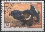 Sellos de Europa - Rusia -  aves