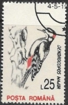 Stamps Romania -  aves