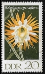 Stamps Germany -  Flores - Selenicereus grandiflorus