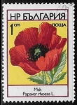 Stamps Bulgaria -  Flores - Papaver rhoeas