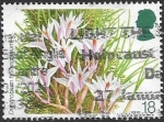 Stamps United Kingdom -  plantas