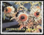 Stamps United Arab Emirates -  Flores 