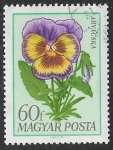 Stamps Hungary -  Flores - Viola x wittrockiana