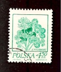 Stamps Poland -  INTERCAMBIO