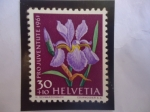 Stamps Switzerland -  Gladiolo (Iris Sp) - Serie: Pro Juventud 1961 -  Flor de Prado y Jardín.