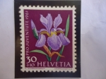 Sellos de Europa - Suiza -  Gladiolo (Iris Sp) - Serie: Pro Juventud 1961 -  Flor de Prado y Jardín.