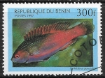 Stamps Benin -  Peces - Cirrhilabrus punctatus