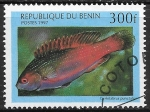 Sellos de Africa - Benin -  Peces - Cirrhilabrus punctatus