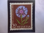 Stamps Switzerland -  Cornflower (Centaurea ) Cyamus-Serie: Pro Juventud 1963 -  Flore de Prado y Jardín