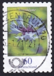 Stamps Germany -  centaurea cyanus