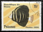 Stamps : Africa : Benin :  peces - Acanthuridus sp.