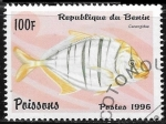 Stamps : Africa : Benin :  Peces - Carangidus sp.