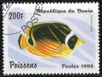 Stamps Benin -  peces - Chaetodontus sp.
