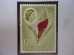 Stamps Swaziland -  Swazilland ó Reino de Esuatine (África Astral)- The Pink Arum (El Arco Rosa)-Sello de 12, 1/2 cént. 