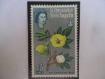 Stamps Saint Kitts and Nevis -  Sea Island Cotton, Nevis - (Algodón de la Isla de mar, Nevis) - Serie: Queen Elizabeth II (1963)