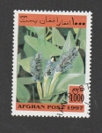 Sellos de Asia - Afganist�n -  Planta con insectos parásitos