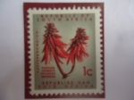 Stamps : Africa : South_Africa :  Kafferboomblom-Flor de Kafferboom-Árbol de Coral (Erythrina lysistemon) - Sello de 1cént. Sudafrican