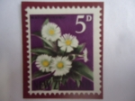 Stamps : Oceania : New_Zealand :  Flores MatuaTikumo, o Margarita de Montaña- -Erythrina Mountain (Celmisiacoriacea daisy)