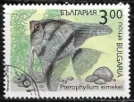 Sellos de Europa - Bulgaria -  Peces - Pterophyllum eimekei