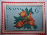 Stamps Ghana -  African Tulip Tree - sello de 6 penique de ghana