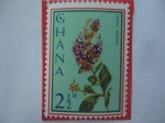 Sellos del Mundo : Africa : Ghana : Purple Wreath -Sello de 2, 1/2 penique de Ghana.